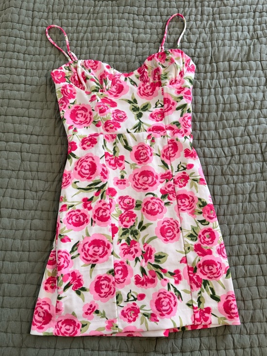 Zara Dresses & Skirts - Zara Floral Pink Rose Corset Dress
